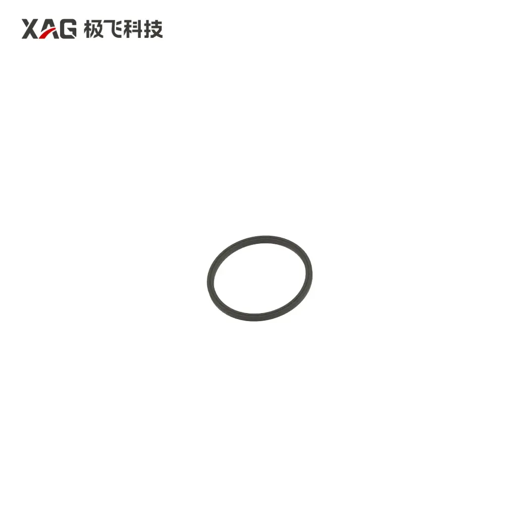 [02-001-11721] Sealing ring of barometer
