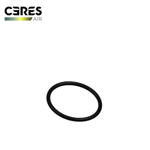 [201-001348] Sealing Ring Outer Diameter 53*3.1